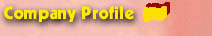 Company Profile